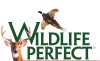 wildlife-perfect-100.jpg